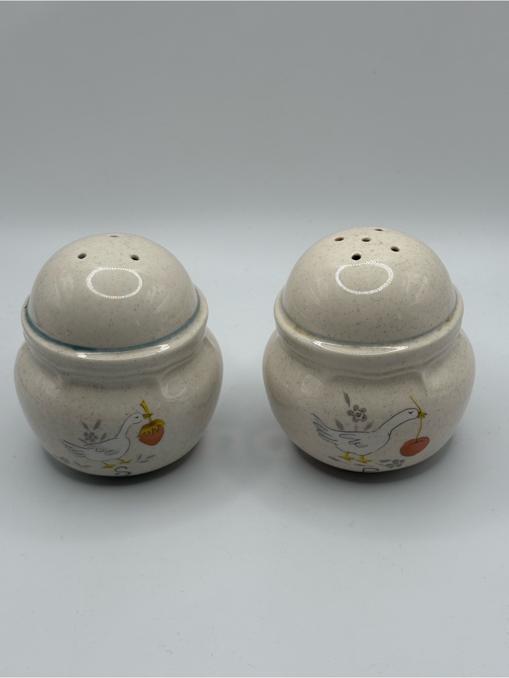 International China Marmalade Salt & Pepper Shakers Vintage Goose CottageCore